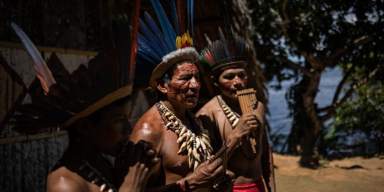 Durante el gobierno de Bolsonaro se ha recrudecido la deforestación de la Amazonía