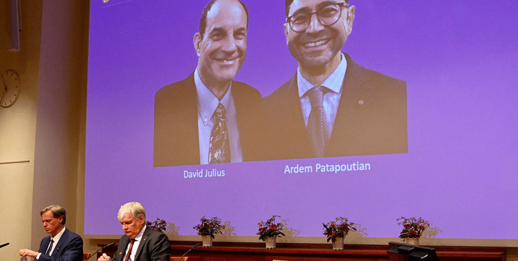 Julius y Patapoutian fueron galardonados con el Premio Nobel de Medicina por sus descubrimientos sobre los receptores de temperatura y tacto