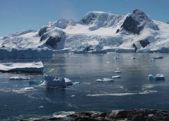 El océano Ártico se está calentando más rápidamente. Su temperatura ha aumentado aproximadamente 2 grados centígrados desde el 1900