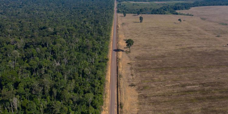 Unión Europea deforestación