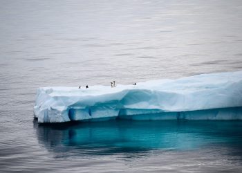 calentamiento del Océano Ártico
