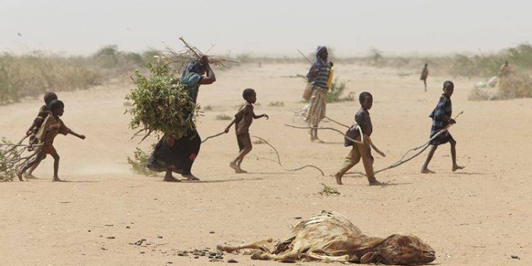 Una familia en las afueras de Dadaab, Kenia, recolecta palos para construir un refugio en julio de 2011. La sequía afectó brutalmente la tierra, los animales y la gente | Foto de Andy Hall de Oxfam África Oriental