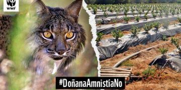 Doñana se muere de sed