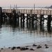 contaminación aguas Long Island