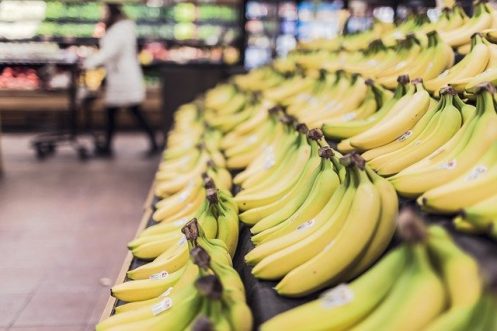 Actualmente la banana Cavendish es la más comercializada. Pero no siempre fue así, hasta 1965 la Gros Michel era la reina del mercado