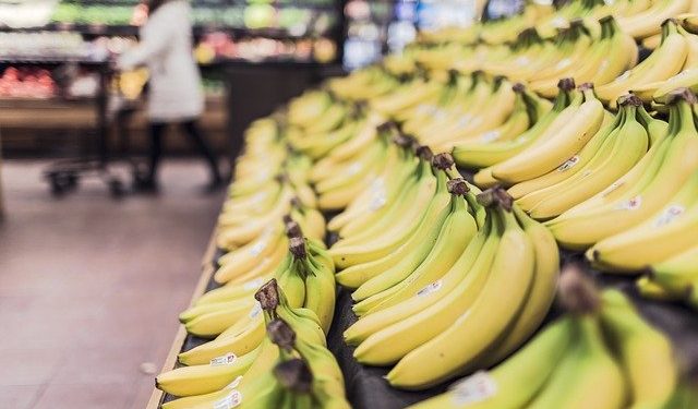 Actualmente la banana Cavendish es la más comercializada. Pero no siempre fue así, hasta 1965 la Gros Michel era la reina del mercado