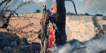 La ONU estima que para fines de siglo el riesgo mundial de incendios forestales incontrolables podría aumentar hasta en un 57%. Pixabay