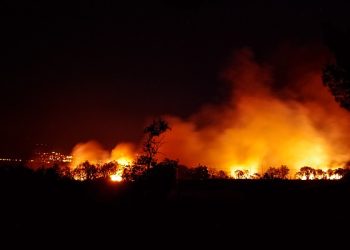 En lo que va de año, España ha sido el país más afectado por los incendios forestales, con unas 200.000 hectáreas quemadas. Foto Pixabay