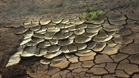 Sequía Amazonas