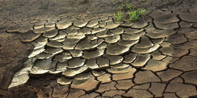 Sequía Amazonas