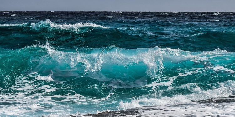 agua de mar carbono