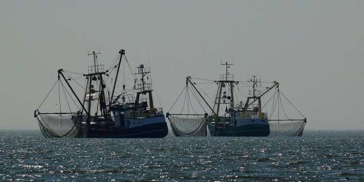 pesca de arrastre UE