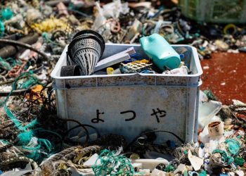 Más de 170 billones de partículas de plástico flotan en los océanos. Desde el año 2005 existe un aumento sin precedentes | The Ocean Clean Up