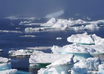 Ártico hielo marino