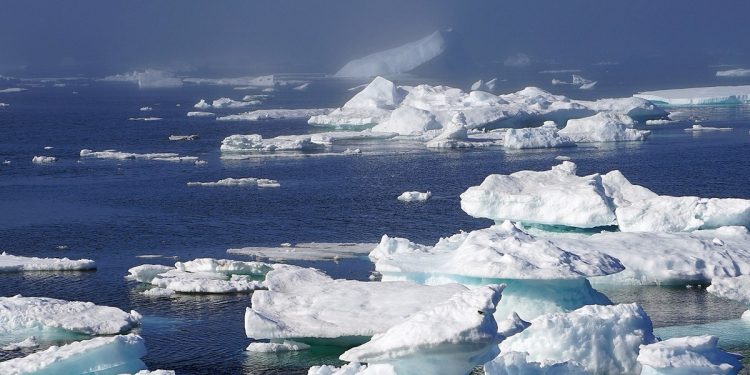 Ártico hielo marino