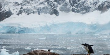 Antártida calentamiento global