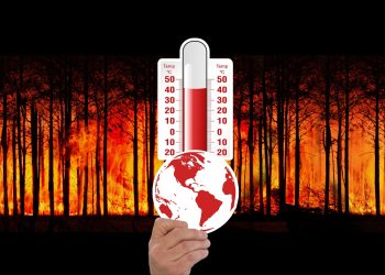 La crisis climática golpea duro este 2023 al planeta . Foto Geralt/ Pixabay