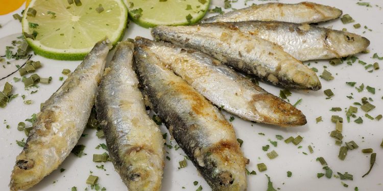 sardina ácidos grasos omega-3