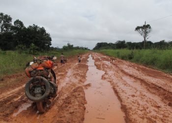 La deforestación es el principal impacto negativo asociado a la pavimentación de esta carretera que atraviesa el corazón de la selva tropical.