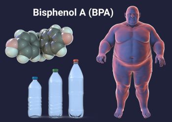 obesidad microplásticos