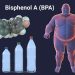 obesidad microplásticos