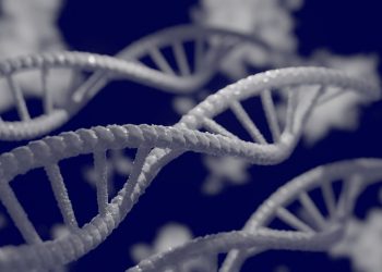 analisis rapido de ADN