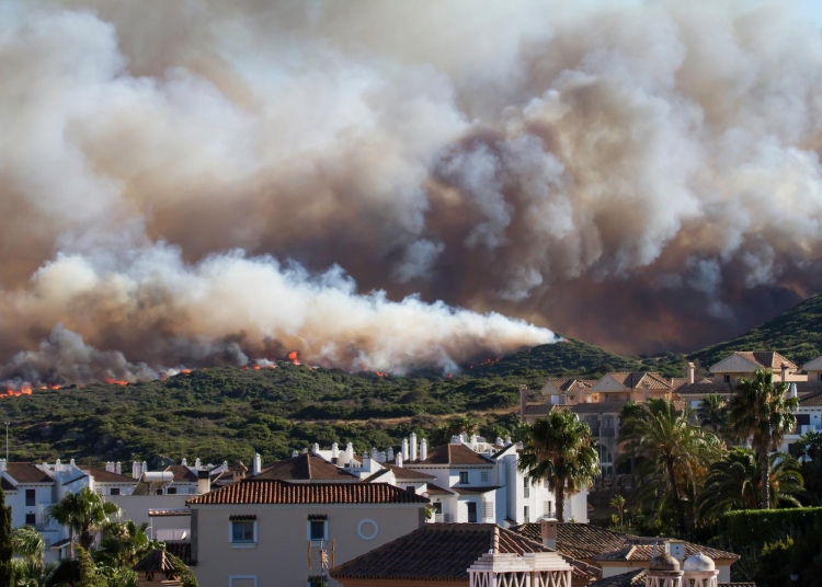 fuego forestal