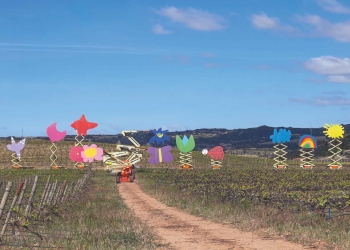 Fundación Daniel y Nina Carasso