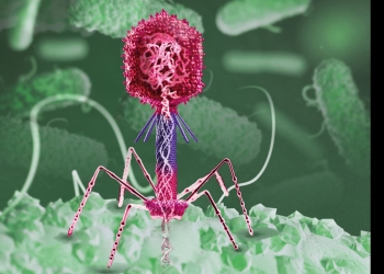 virus IA resistencia