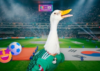 Merlin pato redes Mundial