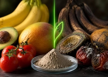 arcilla descomposicion frutas verduras
