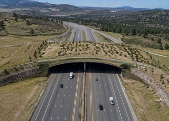 El Greenland Wildlife Overpass de Colorado