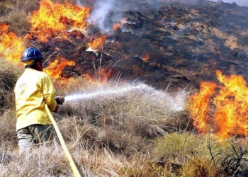 prevencion ciudadana incendios forestales