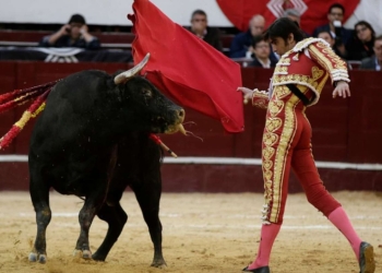 Colombia corridas toros