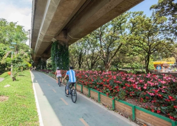 arboles Medellin calor