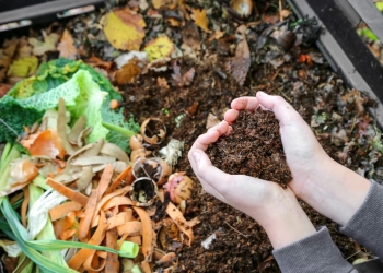 reciclaje organico calentamiento global