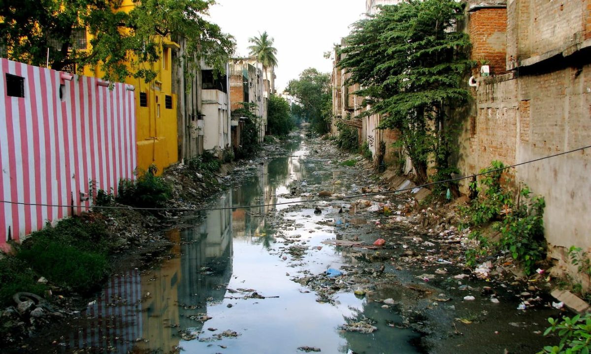 microalgas aguas residuales
