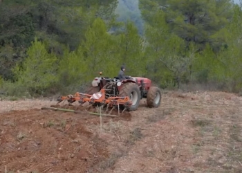campos cultivos cortafuegos