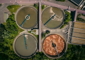 microalgas aguas residuales