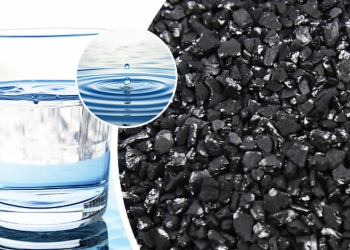 carbon vegetal quimicos agua