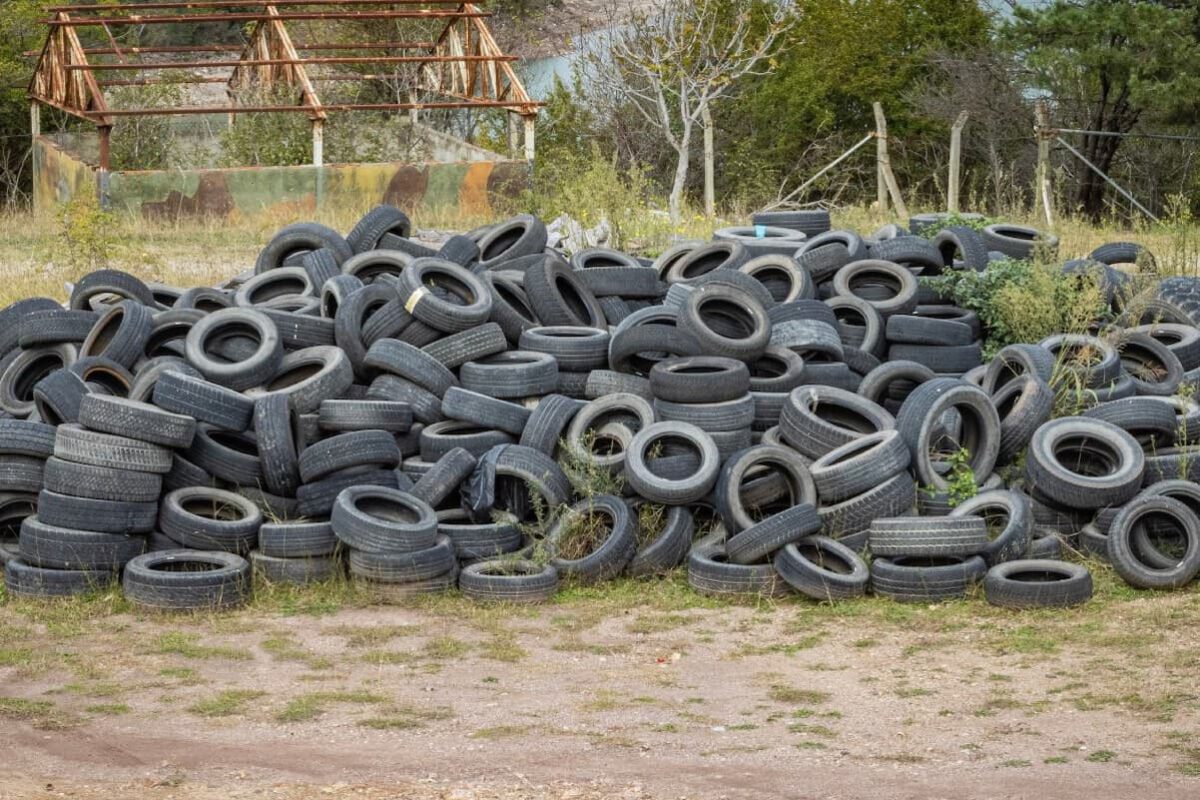 neumaticos vias rurales