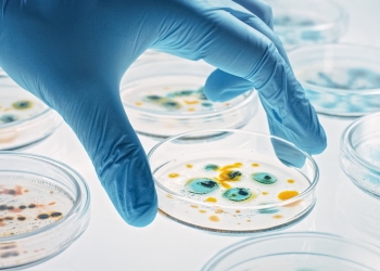 moléculas superbacterias resistentes