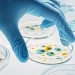 moléculas superbacterias resistentes