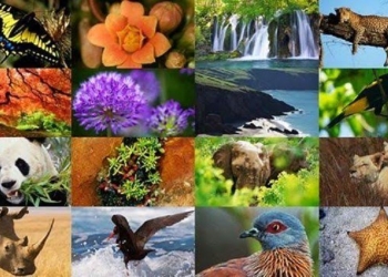 /Pinterest