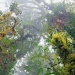 deforestación mundial planeta